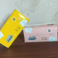 دستمال کاغذی|مواد شوینده و دستمال کاغذی|بانه, |دیوار