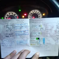 سگ پامر|سگ|یاسوج, |دیوار