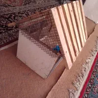 قفس چوبی محکم طرح کلبه|لوازم جانبی حیوانات|نجف‌آباد, یزدانشهر|دیوار