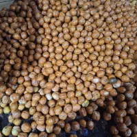 پاک کردن گردو سبز|خدمات باغبانی و درختکاری|تهران, مسگرآباد|دیوار