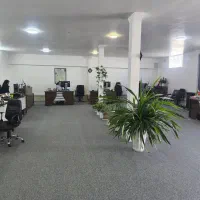 استخدام حسابدار حرفه ای