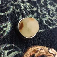 عقیق شجر دریا|کلکسیون اشیاء عتیقه|گلبهار, شهر جدید گلبهار|دیوار