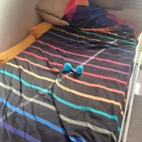 تخت دونفره مهمان|تخت و سرویس خواب|قرچک, شهرک طلائیه|دیوار