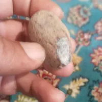 مشاوره سرکتاب ساخت انگشتر خاص|آرایشی، بهداشتی، درمانی|تهران, اقدسیه|دیوار