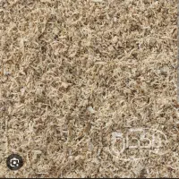 فروش تفاله چغندر