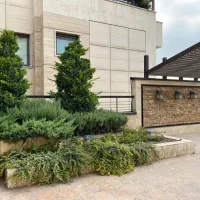 ۲۰۰متری /کامرانیه تاپ لوکیشن|اجارهٔ آپارتمان|تهران, کامرانیه|دیوار