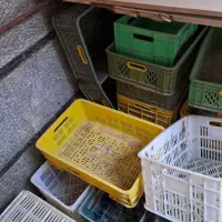 سبد محکم|ظروف نگهدارنده، پلاستیکی، یک‌بارمصرف|گرمسار, |دیوار