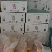 دوربین لامپی  اتصال به گوشی و میتونی صحبت کنی