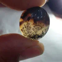 سنگ شجر|جواهرات|تهران, هرندی|دیوار