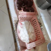 ظرف های درب دار و سبد های کاربردی|ظروف نگهدارنده، پلاستیکی، یکبارمصرف|اهواز, کمپلو شمالی|دیوار