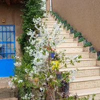 اقامتگاه هیلان روستای ابر