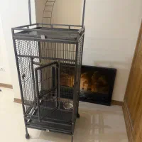 قفس پرنده سایز بزرگ|لوازم جانبی حیوانات|فردیس, فرامرزیه|دیوار