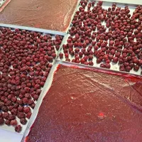 دستگاه میوه و سبزی خشک کن و اسلایسر دستی و برقی|ماشین‌آلات صنعتی|تهران, پیروزی|دیوار