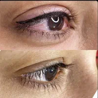میکروبیلدینگ،شیدینگ،خط‌چشم‌،لیفت‌و‌لمینیت‌و غیره|خدمات آرایشگری و زیبایی|مشهد, شهرک امام هادی (شهرک غرب)|دیوار