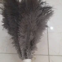 گردگیر عمده