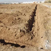 فروش زمین گلخانه به متراژ ۵۰۰۰متر مربع