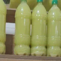 آبلیمو تازه