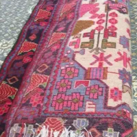 قالی نو|فرش|بروجرد, |دیوار