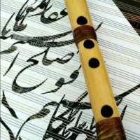 اموزش تخصصی ساز نی ویژه