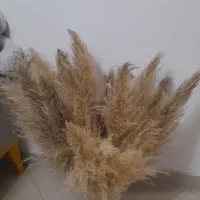 پرده|حراج|محمدشهر, محمدشهر|دیوار