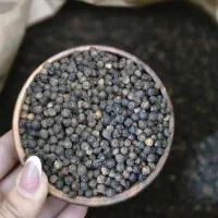 فلفل سیاه 5.5 میل درجه یک / عطاری و عمده