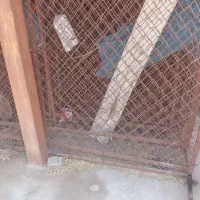 تعداد ۴۰عدد تاباغ اهنی