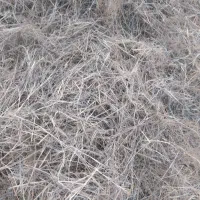 خار شتر وکاه گندم