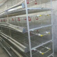 قفس مرغ،بلدرچین، کبک ،لاری