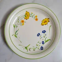 بشقاب ژاپنی اصل