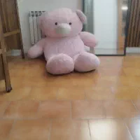 خرس تمیز و سالم