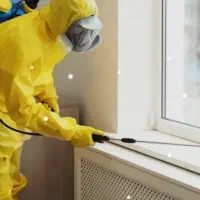 سمپاشی تمامی حشرات و ساس و سوسک ومار وعقرب و....