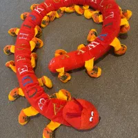 تعدادی اسباب بازی و پازل و عروسک|اسباب‌بازی بچه|قم, انسجام|دیوار