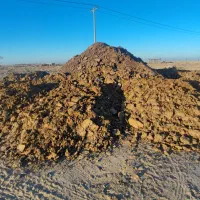 کود حیوانی خاک گاو درجه یک به ضمانت|گل و گیاه طبیعی|گناباد, |دیوار