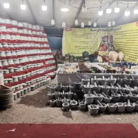 فروش انواع دیزی سنگی هاون سنگی زعفران ساب|ظروف پخت‌وپز|نی‌ریز, |دیوار