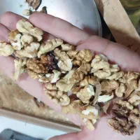 گردو نهاوند استان همدان