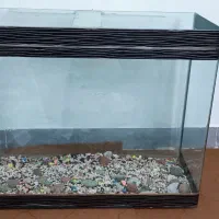 اکواریوم شیشه خم