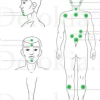 راهنمایی میکنم در زمینه طب