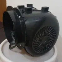 فن حلزونی