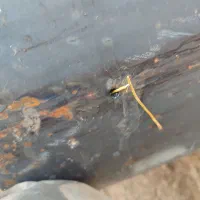 تعمیرات آبگرمکن شهر آونی جاده دهصحرا|آبگرمکن، پکیج، شوفاژ|لردگان, |دیوار