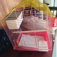 قفس زیبا|لوازم جانبی حیوانات|شاهدشهر, |دیوار