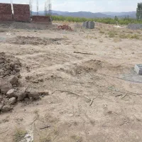 10قصب زمین در بخش ساردوئیه