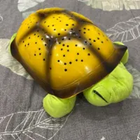 چراغ خواب شلمن