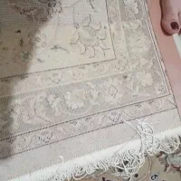 قالی تمام نخ کرم در حد نو  شسته نشده هنوز ۳/۵×۲/۵|فرش|کرمان, |دیوار