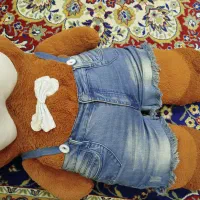 خرس 1متری|اسباب‌‌بازی|بندر انزلی, ساحل قو|دیوار