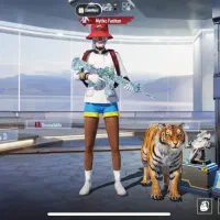 اکانت پابجی