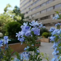 فروش یک خواب فاز ۲ بلوک زوج