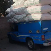 کاه تمیز درجه یک دیم