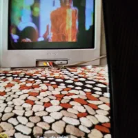 یک عدد تلویزیون ۲۱ سونی