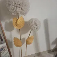 گل قاصدک