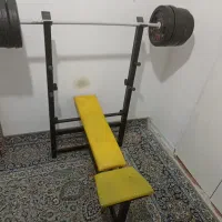 میز هالتر